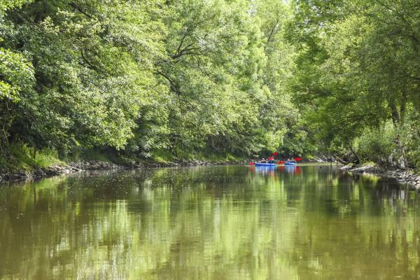 Kayak en pleine nature