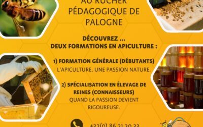 Cours d’apiculture au rucher pédagogique de Palogne