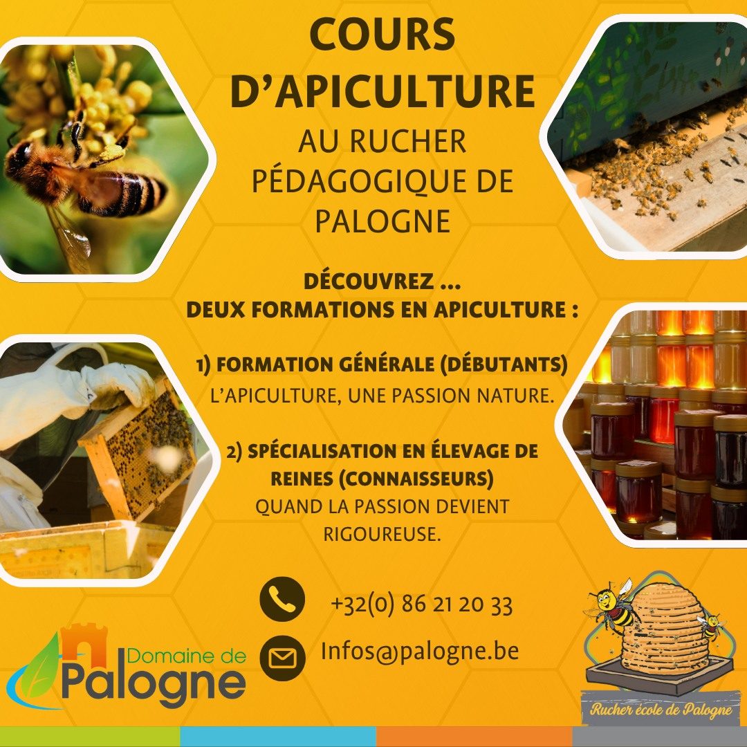 Cours d’apiculture au rucher de Palogne